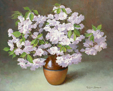 Fine Art by Peter Brown: Cherry Blossom