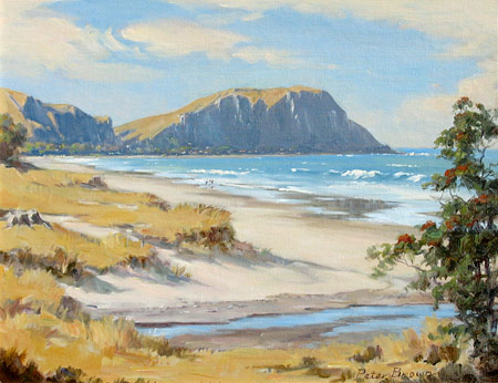 Fine Art by Peter Brown: Makarori Beach
