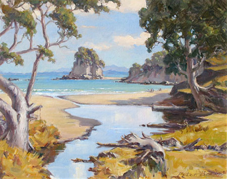 Fine Art by Peter Brown: Mangapaua Bay
