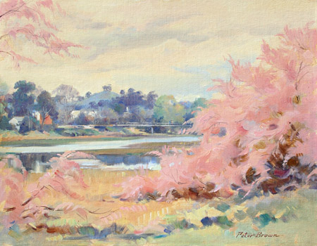 Fine Art by Peter Brown: Tamarisk